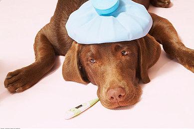 《赛博朋克2077》续作任务团队一半成员曾是Mod作者